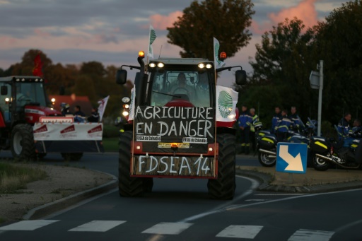 Des agriculteurs sur une route près de Caen à la veille d'une grande manifestation prévue à Paris, le 2 septembre 2015 © CHARLY TRIBALLEAU AFP
