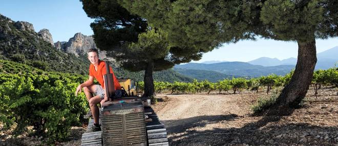 Côtes du Rhône Cuvée Jeune Vigne, Château de Montmirail