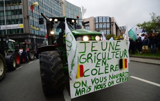 Les Agriculteurs Européens à Bruxelles Pour Faire Pression Sur L'UE ...