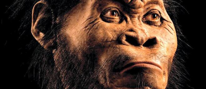 Reconstitution du visage d'Homo naledi par le paleoartiste John Gurche.  