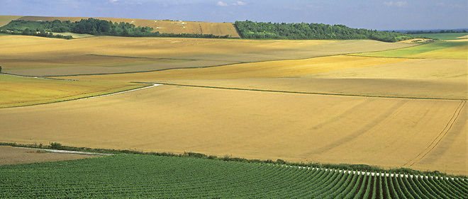 La production de champagne (ici a Vitry-le-Francois dans la Marne) est l'un des poumons economiques de la region.