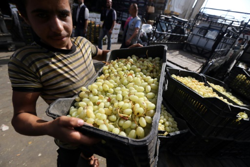 Un jeune Syrien décharge des caisses de raisin au marché des Halles de Damas, le 21 septembre 2015 © JOSEPH EID AFP