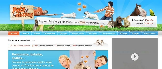 Animoflirt : 1er site de rencontres pour propriétaires d’animaux de compagnie