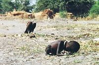 L'extrême pauvreté d'une famine au Soudan en mars 1993. ©Kevin Carter/Sygma/Corbis