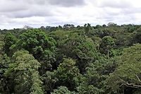 Ga&euml;l Derive - COP21 : l'Amazonie, entre beaut&eacute; et d&eacute;cadence