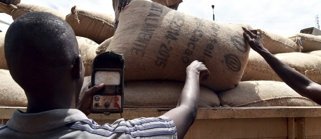 Un ouvrier controle l'humidite de sacs de cacao en train d'etre charges a Gagnoa le 10 cotobre 2015. 