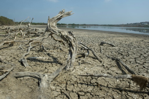 Une grave sécheresse, causée par El Nino,  affecte la Colombie © Eitan Abramovich AFP/Archives