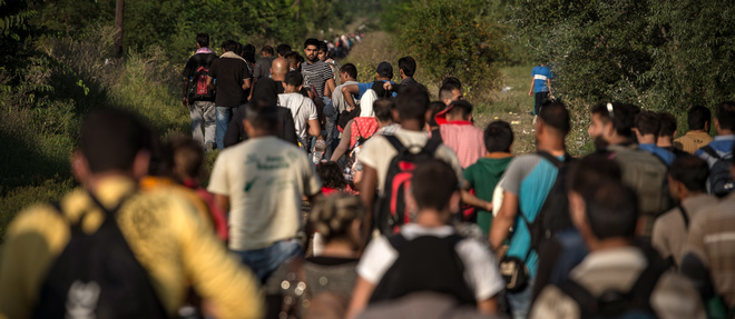 Des refugies marchant le long de l'autoroute pres de la frontiere serbo-hongroise. 