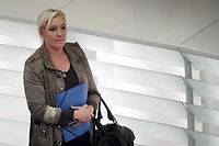 R&eacute;gionales 2015 : des militants FN se rebellent contre Marine Le Pen