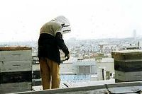 Les ruches des toits de l'Opéra Garnier. ©WPA