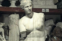Venus de Milo (buste et tete)
Platre. H.106 cm. De 1 000 a 1 500 EUR.
