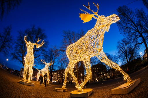 Des élans illuminés, le 16 décembre 2014 à Stockholm © JONATHAN NACKSTRAND AFP/Archives