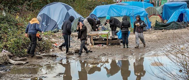 Abe Tilslutte er der Jungle" de Calais : des personnalités lancent un appel pour aider les  réfugiés - Le Point