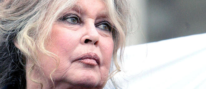 Brigitte Bardot avait reclame l'installation de cameras de surveillance sur chaque poste d'abattage lors de la diffusion d'une video similaire en octobre.