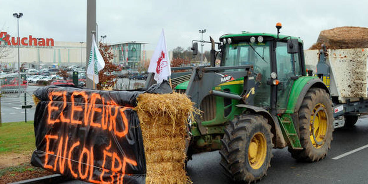 Crise Agricole Les Trois Mesures Que R Clament Les Agriculteurs