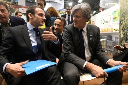 Le ministre de l'Economie Emmanuel Macron et le ministre de l'Agriculture Stephane Le Foll le 3 mars 2016 au Salon de l'Agriculture
