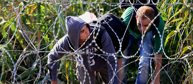 Des migrants franchissent un mur de fil barbele entre la Serbie et la Hongrie.