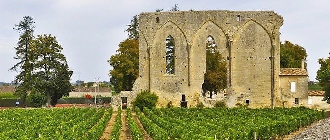 Saint-Emilion, vigne du chateau Les Grandes Murailles.