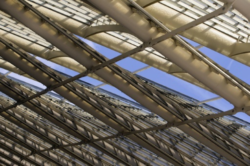 Les architectes Jacques Anziutti et Patrick Berger se sont inspiré de la nature pour concevoir la Canopée des Halles de Paris, photographiée le 22 mai 2015 © KENZO TRIBOUILLARD AFP/Archives