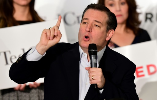 Le candidat à l'investiture républicaine Ted Cruz, lors d'une réunion électorale, le 11 avril 2016 à Irvine en Californie © FREDERIC J. BROWN AFP