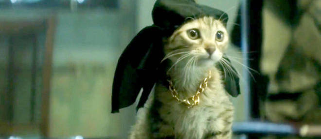 Un chaton gangsta double par Keanu Reeves sera le heros d'un film cet ete.