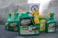De l'herbicide Roundup de Monsanto dans l'urine&nbsp;des d&eacute;put&eacute;s !