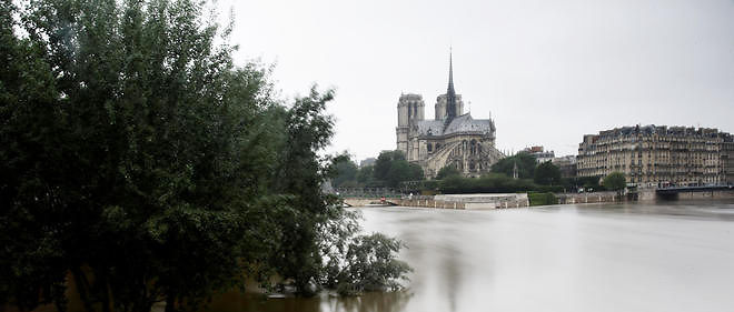 La Seine, pres de la cathedrale Notre-Dame de Paris.  