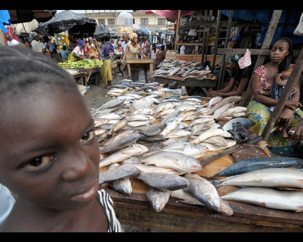 Un enfant à côté d'une marchande de poissons dans le marché d'Abobo, à Abidjan.  ©  AFP/Issouf Sanogo