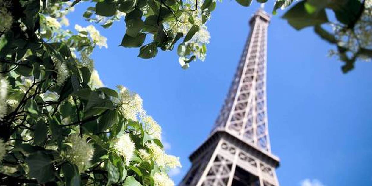 La tour Eiffel aux couleurs de l'Euro