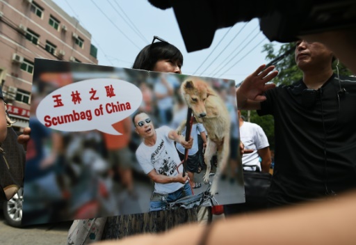 Un policier intervient pour empêcher les activistes de déployer leurs bannières contre la consommation de viande de chien, à Pékin le 10 juin 2016 © GREG BAKER AFP/Archives