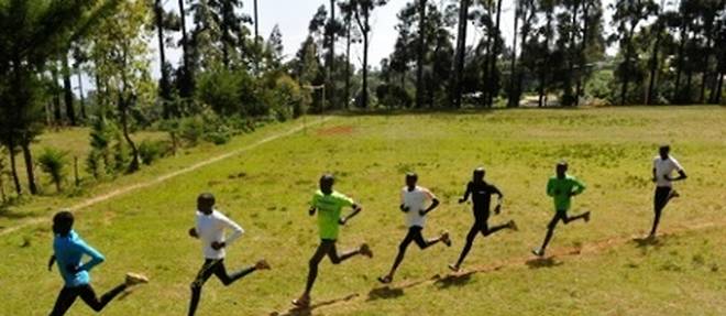Des athletes kenyans s'entrainent le 13 janvier 2016 dans le Rift Valley
