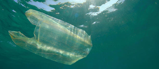 A Mayotte, l'interdiction des sacs en plastique a usage unique est intervenue en 2006.