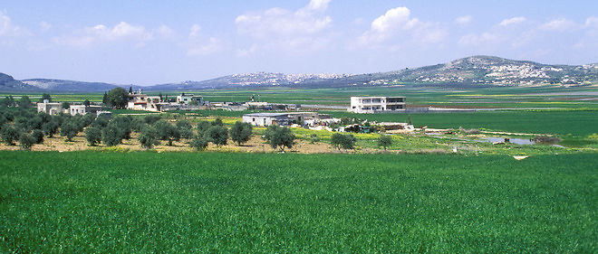 Un paysage agricole en Cisjordanie (image d'illustration).