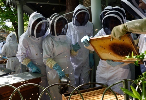 Des etudiants lors d'une formation d'apiculture urbaine au rucher-ecole des Jardins du Luxembourg a Paris le 15 avril 2015