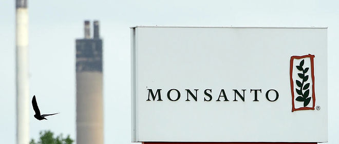 Monsanto recoit l'agrement europeen pour du soja OGM