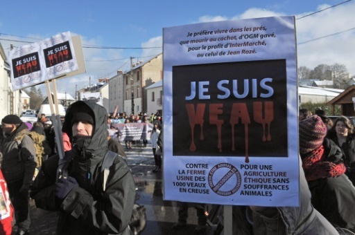 Une manifestation contre la "ferme des mille veaux" a La Courtine, dans le centre de la France, le 31 janvier 2015