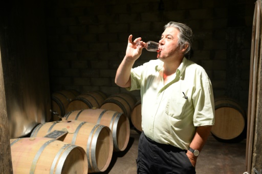Dominique Léandre-Chevalier, viticulteur rebelle, le 20 juillet 2016 à Anglade dans le sud-ouest de la France © NICOLAS TUCAT AFP