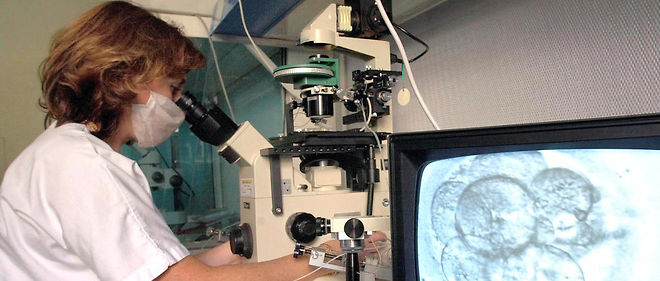 Un technicienne du service de biologie de la reproduction de l'Hopital de la Conception a Marseille observe au microscope, le 04 decembre 2000, la division cellulaire d'un embryon au cours d'un programme de procreation medicale assistee. / AFP / ANNE-CHRISTINE POUJOULAT