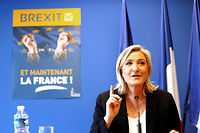 &quot;Marine Le Pen a pris le leadership de l'extr&ecirc;me droite en Europe&quot;