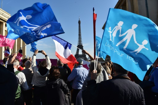 Manif Pour Tous Des Milliers De Personnes Pour Peser Sur La Présidentielle