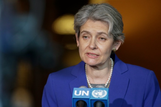 Irina Bokova, patronne de l'Unesco, fait une déclaration aux médias, le 12 avril 2016 au siège de l'ONU, à New York © KENA BETANCUR AFP/Archives