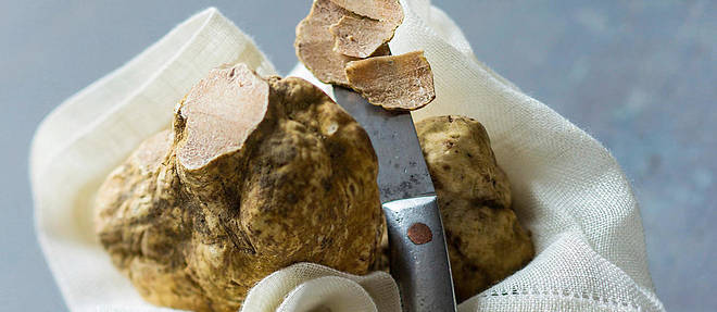 Un chef, un produit : rare et puissante truffe blanche