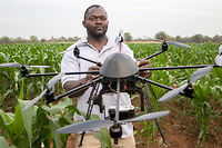 Un technicien agricole zimbabwéen avec un drone dans un champ de maïs de la station de recherche de Chiredzi, en octobre 2016.