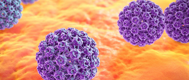 Le papillomavirus est un facteur du cancer de l'uterus (photo d'illustration).