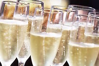 Le guide 2016 des champagnes de vignerons