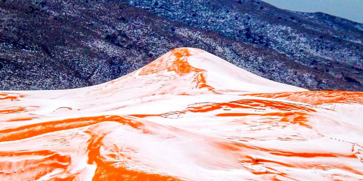 Pour la première fois en 37 ans, le Sahara algérien recouvert de neige