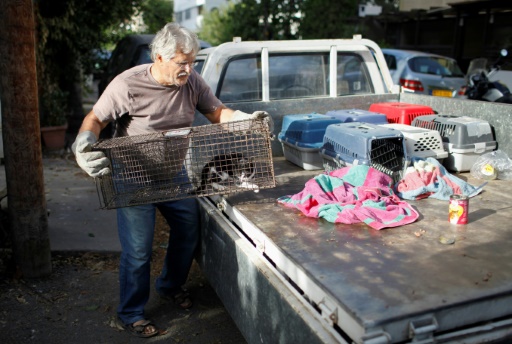 Dinos Ayiomamitis, installe dans les rues de Nicosie, le 13 octobre 2016 des pièges pour attraper les chats dans le cadre d'une campagne de stérilisation © Florian CHOBLET AFP