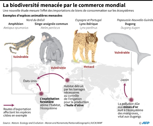 L'impact du commerce mondial sur la biodiversité © John SAEKI, Laurence CHU AFP