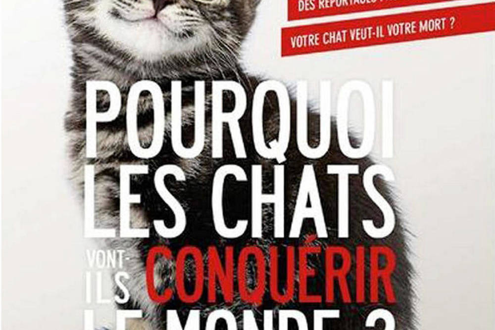 La Preuve Que Les Chats Veulent Notre Peau Le Point