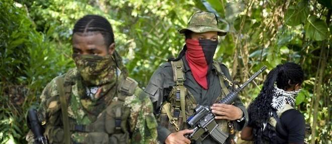 Des combattants de la guerilla de l'ELN, lors d'une interview avec l'AFP, le 26 janvier 2017 a Alto Baudo, en Colombie